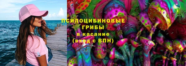 прущий лед Верея